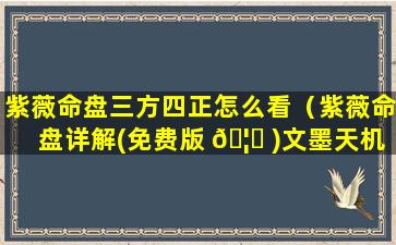 紫薇命盘三方四正怎么看（紫薇命盘详解(免费版 🦅 )文墨天机）